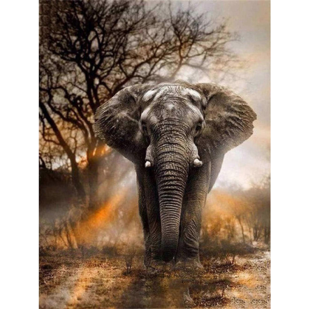 (300 Pieces) 300-1000 Pcs Animal Elephant Wooden Jigsaw Puzzles For Adults & Kids 5996097134429