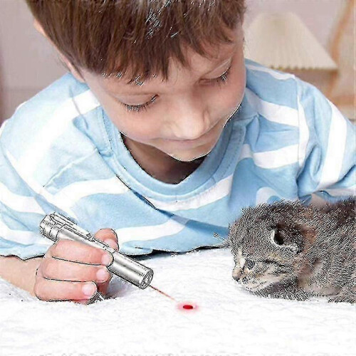 Usb Rechargeable Pet Toys Cat Training Laser Pointer With Led Flashlight (ShiKai) 2