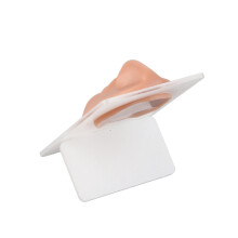 Coffee Silicone Mouth and Nose Model 90x65mm