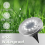 Solar Lights Cold White IP65 Waterproof  Auto On/Off with Ground Spike 4PCS 2