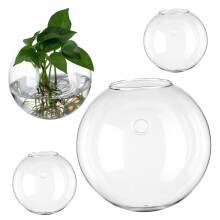 4pcs Wall Hanging Glass Planters Round Propagation Station for Indoor Water Plants Home Décor