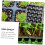 10Pcs Seed Starter Trays for Seedlings with Enhanced Root Ventilation and Efficient Drainage 2