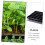 10Pcs Seed Starter Trays for Seedlings with Enhanced Root Ventilation and Efficient Drainage 4