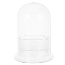 Glass Terrarium Jar for Miniature Landscape, Clear Plant Cloche Dome for Air Plants and Hydroponic Display