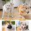 Adjustable Dog Muzzle, Breathable Anti-Bite Hood for Pets 4