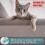 Anti Cat Scratch Tape, 2.5"x3yds Clear Double-Sided Deterrent 2
