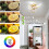 25cm 22W LED Ceiling Light , 6000K Cool White 4