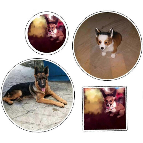 (1 Set, S) Dog Ear Posting Kit with Adhesive Tape for Doberman Ear Support 2