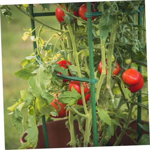 12pcs Adjustable Tomato Trellis Cage for Climbing Plants, Durable Garden Support System 2