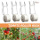 Tomato Roller Hook Lattice Wire Tomato Hook Vine Hook Greenhouse Plant Hook 10pc 2