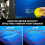 Car Scratch Remover Paste 120ml – Fast Scratch Removal, Gloss Restoring, Clear Coat Safe  Kit 5