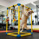 Space Saving Pet Exercise Equipment Componentized Dog Gym Quick 6