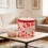 Portable Multi Compartment Knitting-Wool storage bag 4