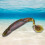Ζωντανό δόλωμα ψαρέματος, Swim'n Caffeine Shad Bait, ανθεκτικό και μακράς διαρκείας π 3