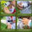 Kids Microscope Portable Mini Pocket Design for Science Experiments and STEM Learning White 2