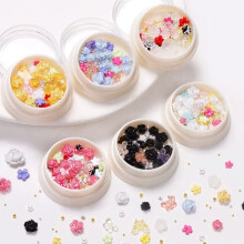 Aurora Butterfly Flower Nail Charms 3D Resin Rose Nail Art Decorations Set Mixed Colors 6 Box