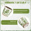 Multiple Size Ceramic Planter With Drainage-green flower 7