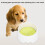 Pet Feeding Revolution, Μπολ με Πλωτό Δίσκο που Αντισταθεί στις Πιτσιλιές, Αντιολισθητικός 7