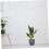 Plant Support Trellis Set for Monstera, Leaf Shaped AntiTipping Design, Durable Lightweight Structure 4