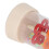 Birch Rain Stick Rainmaker Toy 19cm/7.5in Large 12