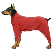 Abbigliamento per cani Autunno e Inverno Capelli dorati Cane di taglia media Cane di taglia grande