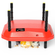 12x12 Chick Brooder Heating Plate 50W Adjustable Temperature and Height Warmer for 20 Chicks