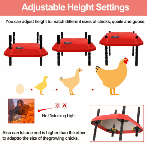 12x12 Chick Brooder Heating Plate 50W Adjustable Temperature and Height Warmer for 20 Chicks 2