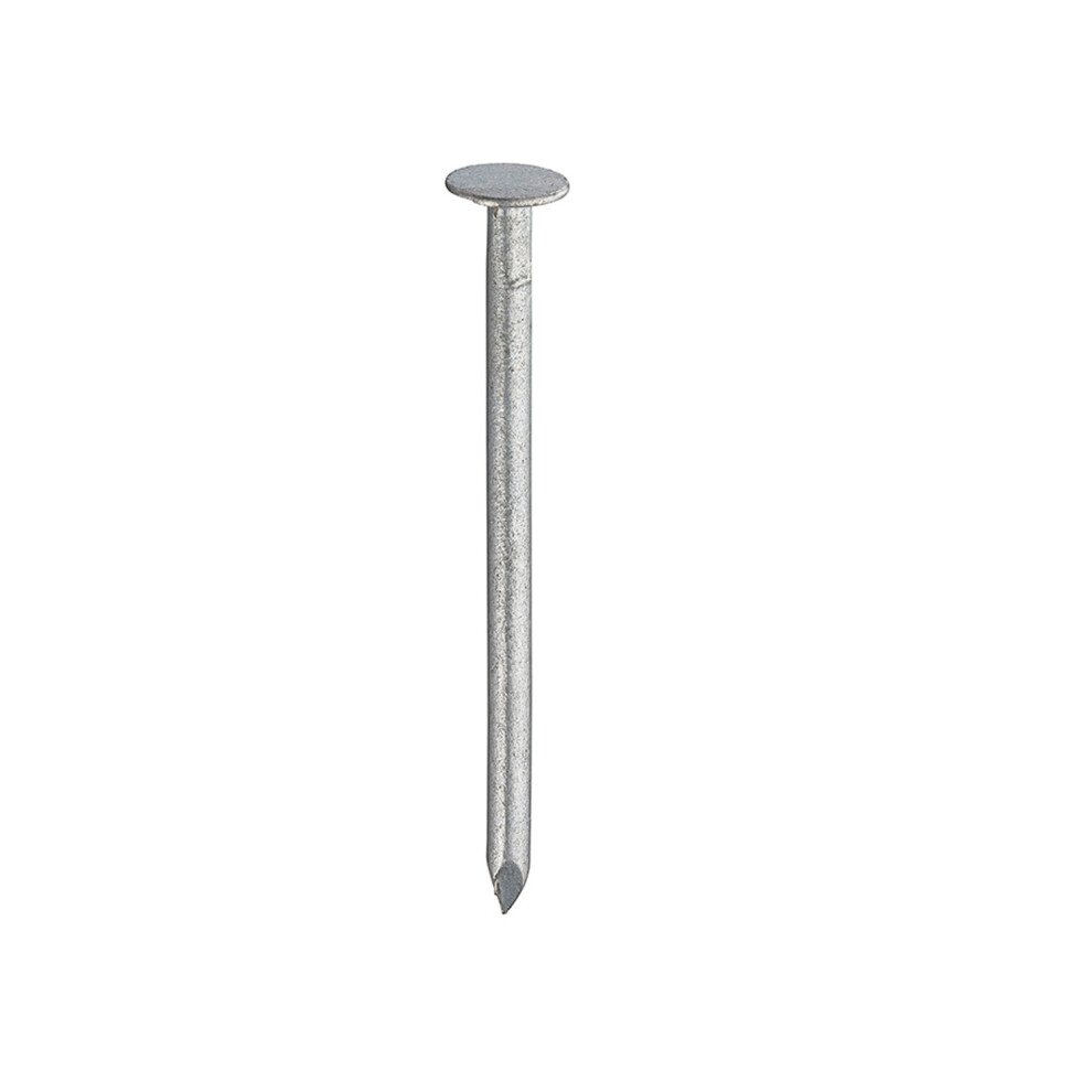 Clout Nails Galv 30 X 2.65Mm - 9Galvcn/025 - Box Of 25 5014196121819