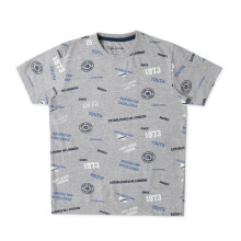 Pepe Jeans Pojke Bomull Tryckt Regular Fit T-Shirt (Pb50366393312_Grey Marl,12-13 år)