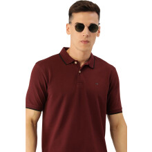 Camisola Polo Peter England Masculina Ajustada, Tecido Piquê, Marrom, Pequeno