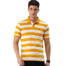 Peter England Ανδρικό Πόλο T-Shirt Stripes