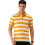 Peter England Ανδρικό Πόλο T-Shirt Stripes 1