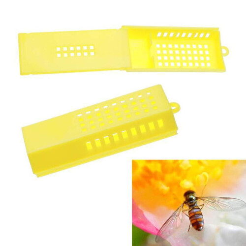 Queen Bee Cage Set 10PC Beekeeping Tools for Secure Queen Transport and Controlled Colony Introduction