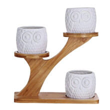 Bamboo Plant Stand with Ceramic Pots and Drainage, Indoor Outdoor Succulent Planter Set, Owl Pattern