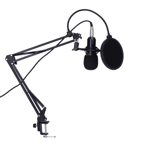 Condenser Microphone Mic Kit Live Studio Sound Recording Mount Boom Stand Black silver