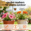Rusts Proof Gardening Markers Elegant Metal Plant Identification 3