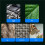 Digital Microscope 2.4-Inch IPS Screen 1000x Magnification 200Million Pixels High-Definition Images Children Microscope 4
