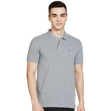 Allen Solly Ανδρικό Πόλο Καθημερινής Χρήσης (Amkp317G04246_S)