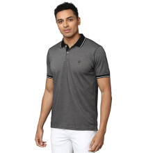 Camisa Polo Regular Fit Allen Solly para Homem (Askpnrgff64348_Cinza)