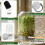 Sprouting Jar Sprout Growing Mason Jar for Bean Sprout Grow 4