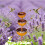 Rusty Iron Rainwater Collector Decorative Stake For-Bird baths 3