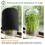 Sprouting Jar Sprout Growing Mason Jar for Bean Sprout Grow 6