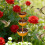 Rusty Iron Rainwater Collector Decorative Stake For-Bird baths 7