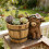 Unique Cow Tabletop Garden Container Ornament Combines Styles 7