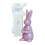 Rabbits Silicone Mould With Intricate- Strawberry square 5