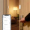Tuya ZigBee  Door Sensor Door Open/Closed Wireless Detector Tamper Alarm Security System Work with Alexa Home 4