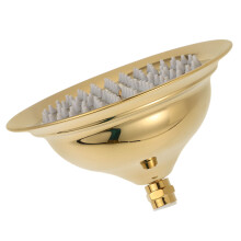 Titanium Shower Head Golden Fixed Bathroom Shower Sprayer