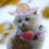 Lightweight Decorative Hat for Dogs and Cats Cosplay Use 3