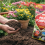 20L Multi Purpose Garden Compost Soil for Plants 2