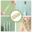 Travel Toothbrush Organizer Portable Reusable Case 4